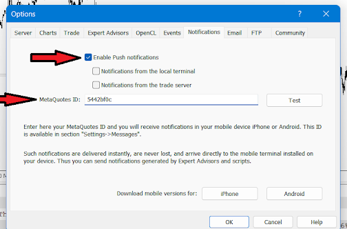 MT5 Notifications options showing push notifications and the MetaQuotes ID field